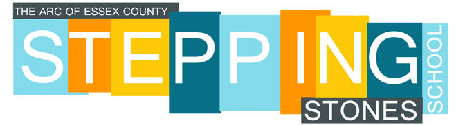 Stepping Stone School logo